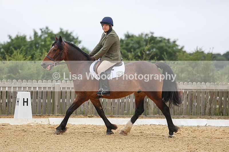 3E7A5204 - Class 2: Intro 4 2024 section B