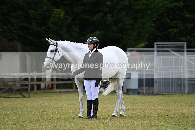 WJ7_7034 - Class 5a Most Handsome Gelding in Hand