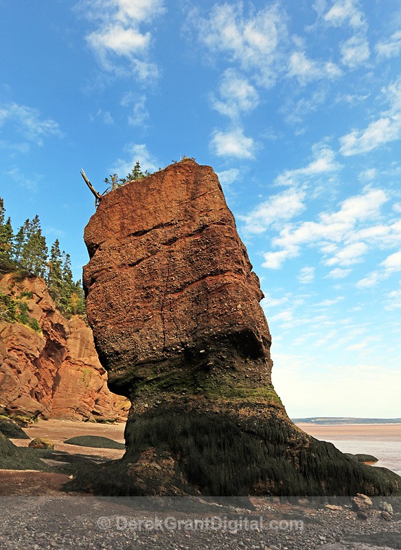 The Rocks @ Hopewell Cape - 9 - The Rocks @ Hopewell Cape