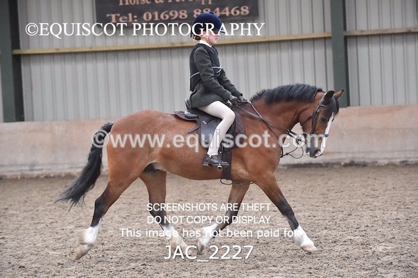 JAC_2227 - CLASS 2 Novice Working Hunter