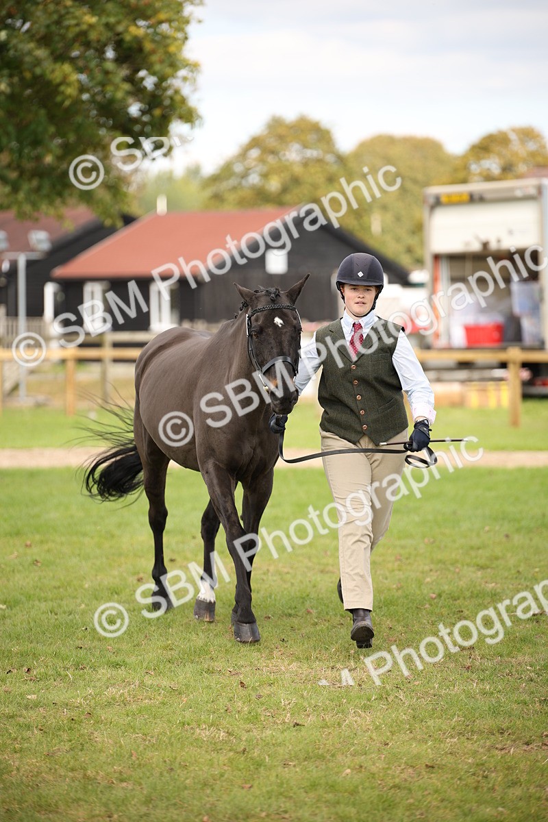 SBM_46361 - S25 - Mature Veteran In Hand