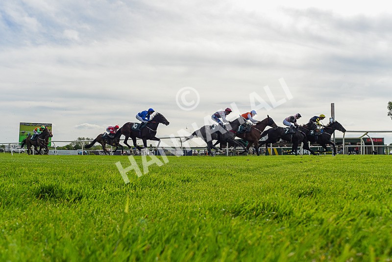 130524-Race 4-Keldeo-9427 - Race 4