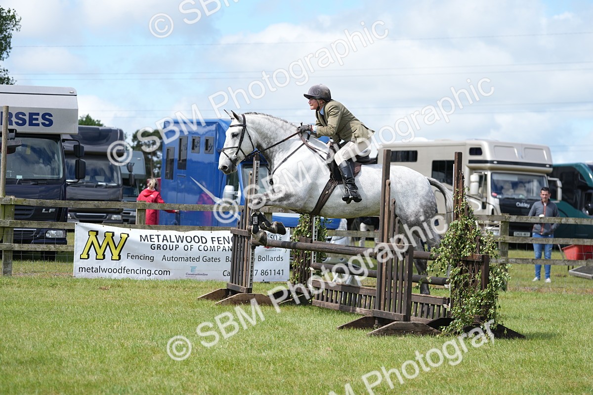 SBM_14863 - Class 100-102 - RIHS Working Hunter