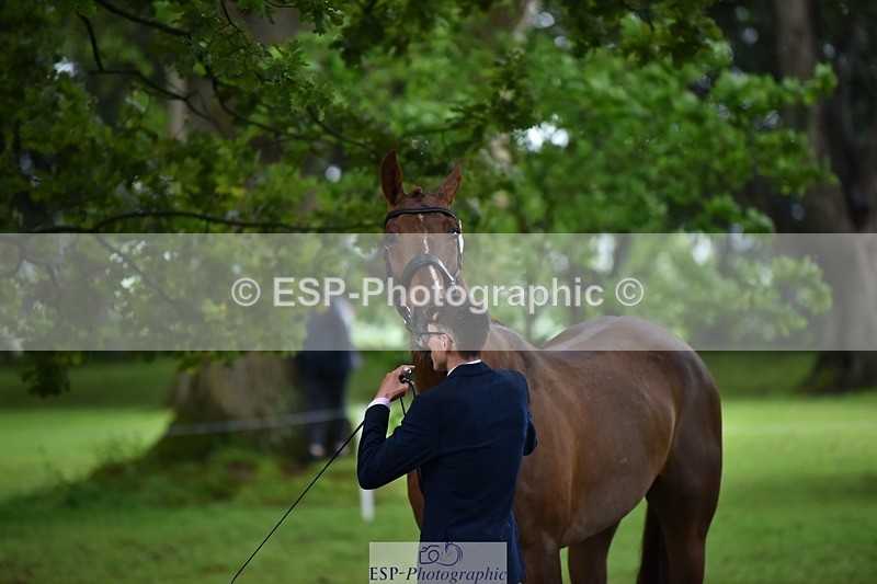 240522-161332-00794 - 159-WICKLOW_INTO_ORBIT-Lucy_Richards