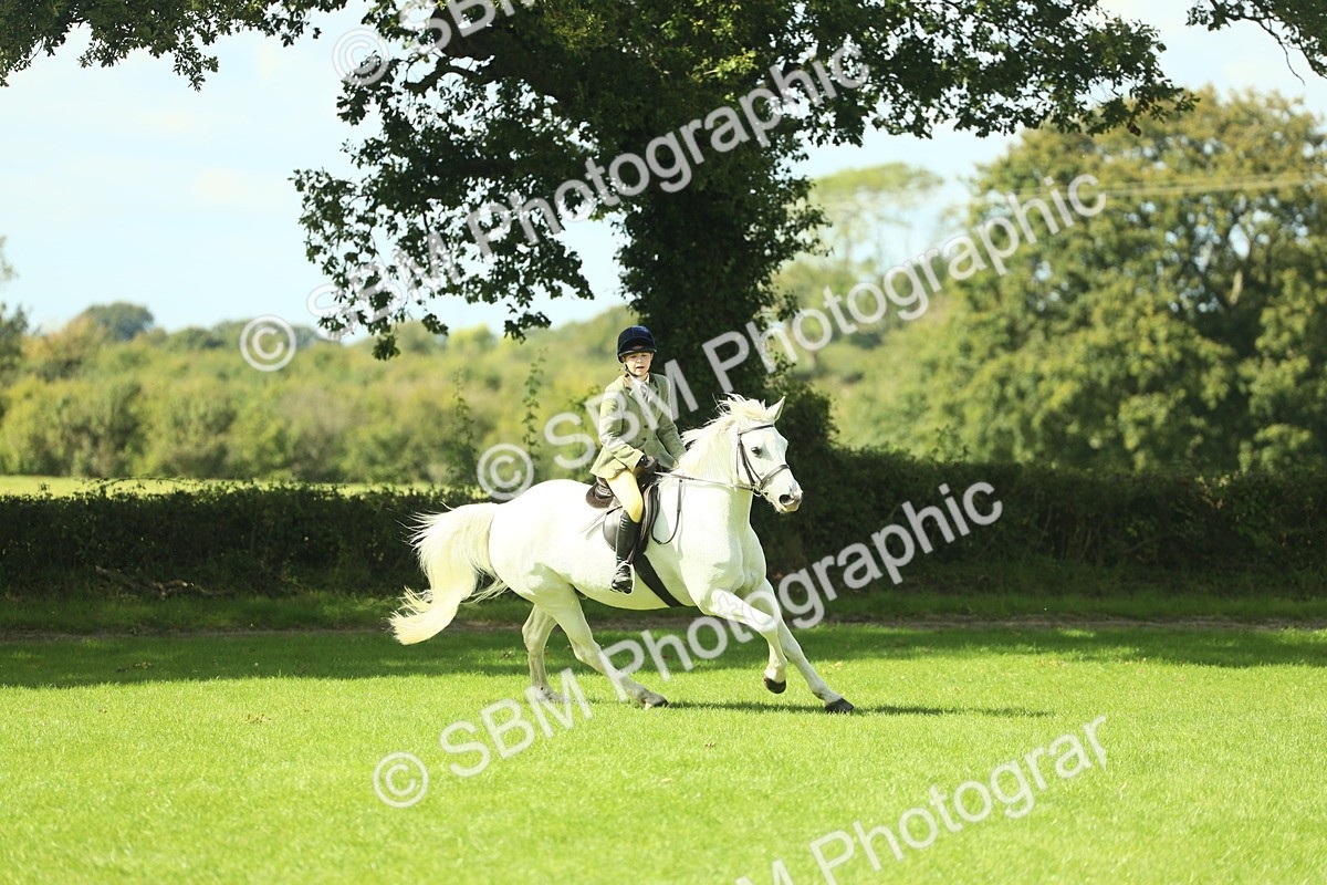 SBM_44547 - S30 - M&M Working hunter Pony