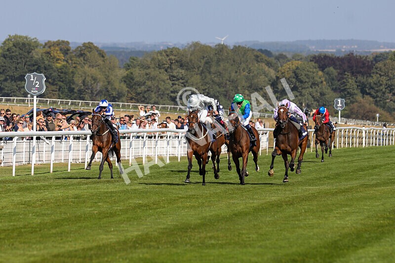 310824-Race 5-Bassadanza-1794 - Race 5