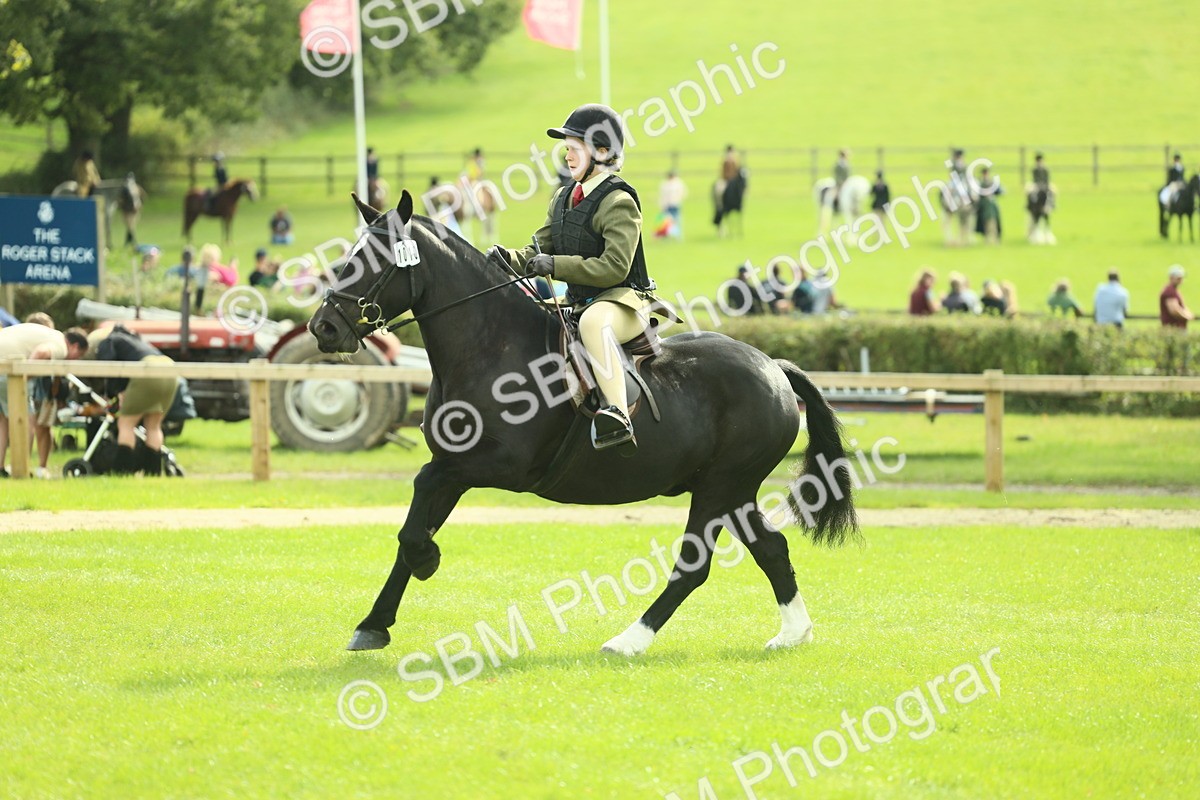 SBM_44740 - S31 - Working Hunter Pony