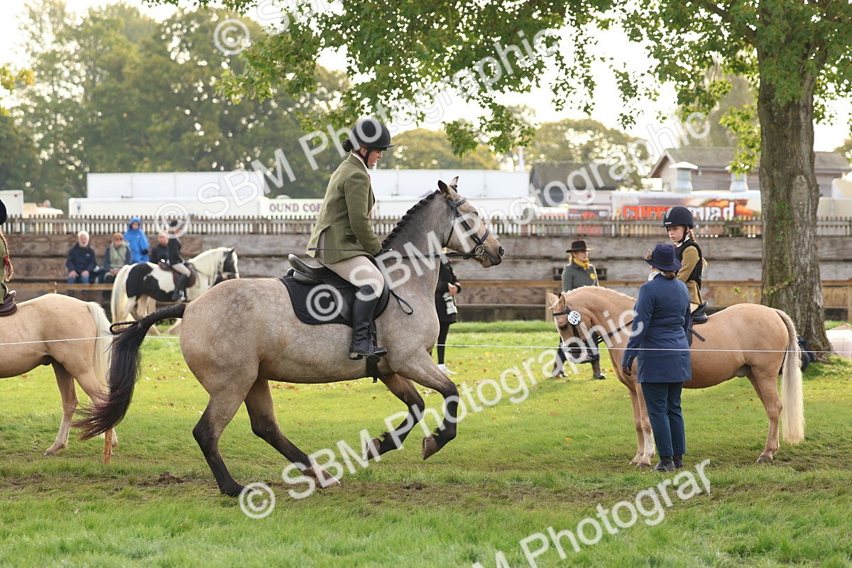 SBM_56598 - S40 - Starters Ridden Showing