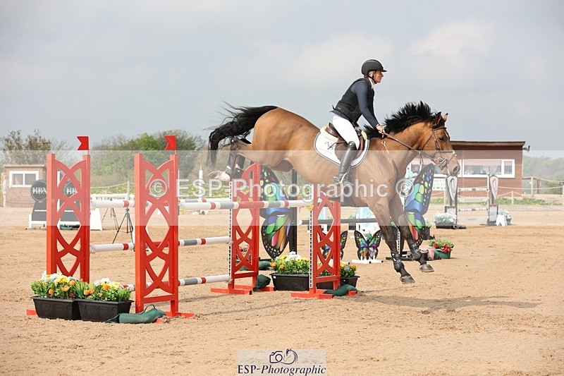 250424-104805-03235 - Cls 33 Young Horse 7yr old