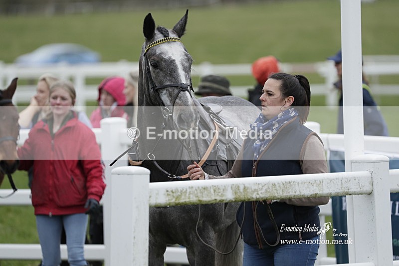PtP 260323 0003 - New Forest Hounds Point-to-Point Larkhill 26/03/23
