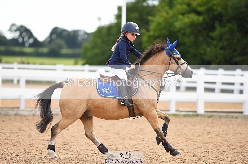 230815A-145812-00005 - 50cm