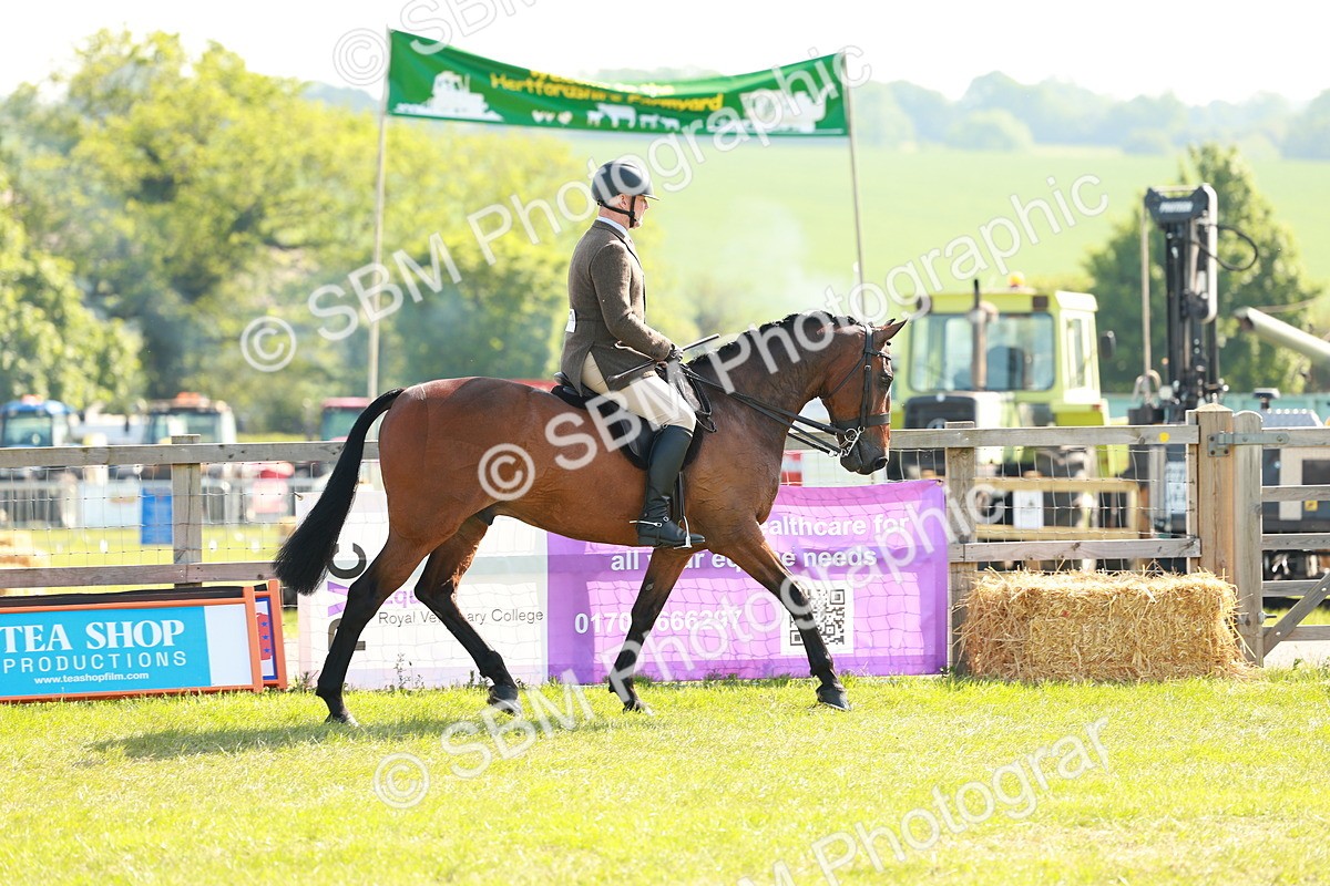 SBM_12022 - Class 66-69 - RIHS Ridden Hunters Inc Small Hunter
