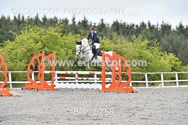 BPP_6258 - SUN CLASS 37 BR NOVICE/90CM