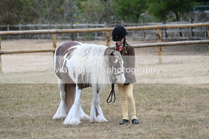 WJ7_8211 - Class 4 Prettiest Mare up to 14.2hh
