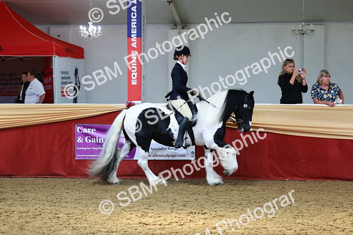 SBM_23329 - class 906 - Supreme Final - Ridden Pre Vet