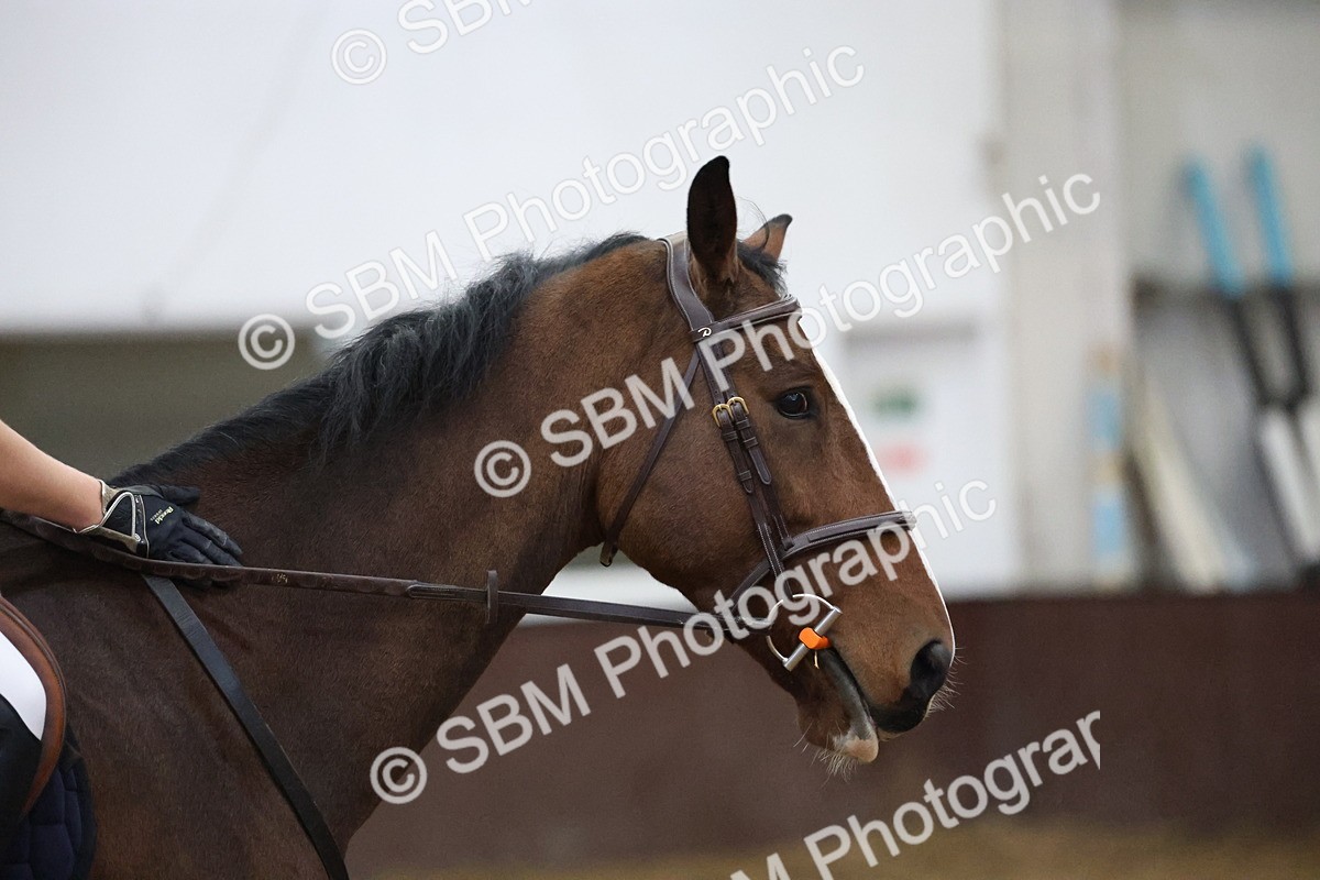 SBM_000119 - 50cm