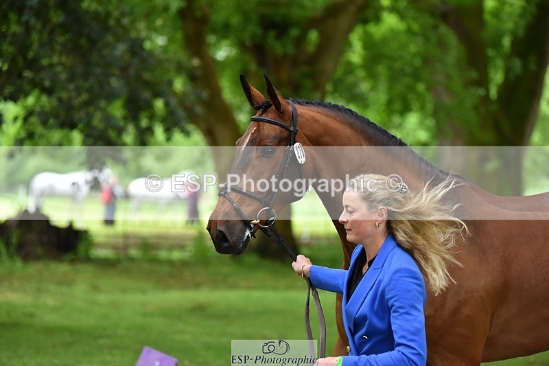 240522-172308-01566 - 278-DSH_MR_D-Caroline_Harris