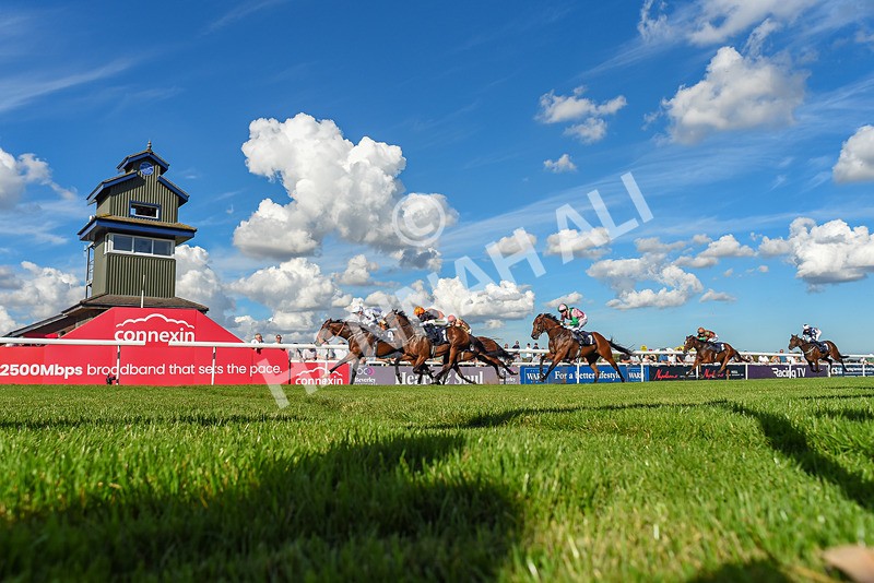 220926-Race 4-Toca Madera-7880 - Race 4 3.15pm Eddie And Violet Smith Conditions Stakes