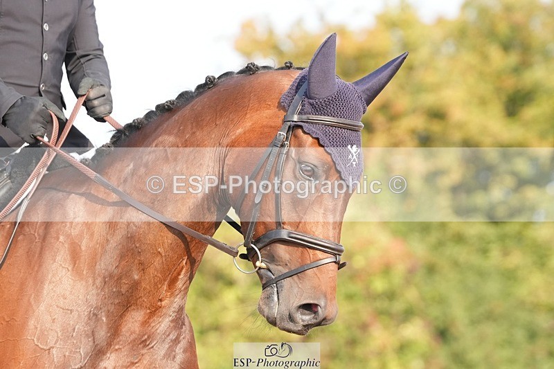 250817-090314-07449 - 165-Jack.StancombeFastnet.Rock