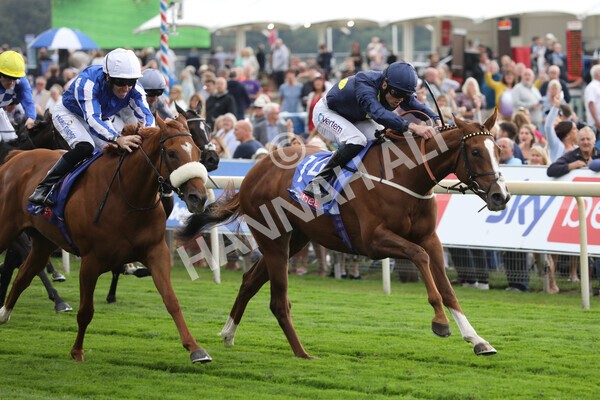 yr18082022r1-19 - Race 1 1.50pm Sky Bet Lowther Stakes