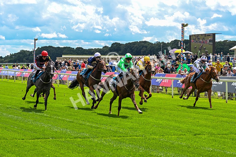 120626-Race 2-Everatease-0116 - Race 2 14.25pm Constant Security Keeping York Racegoers Safe Rous Selling Stakes