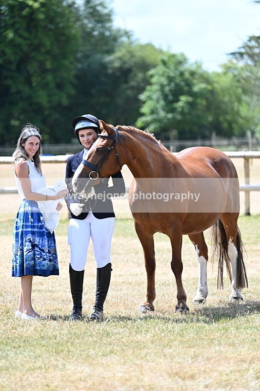 WJ7_2055 - Class 4a Prettiest Mare 14.2hh and over hand