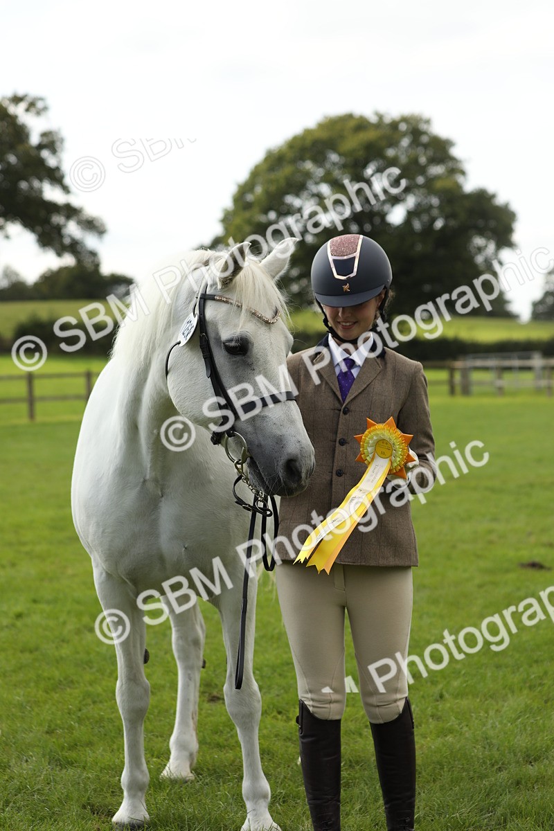 SBM_65549 - S47 - Mountain & Moorland In Hand Large Breeds