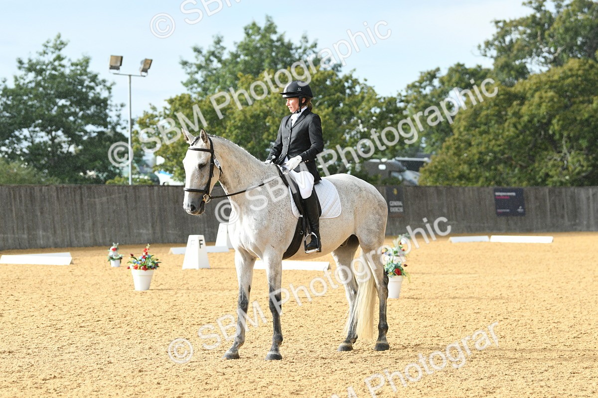 SBM_11165 - D28 Elementary Taster Elementary 42