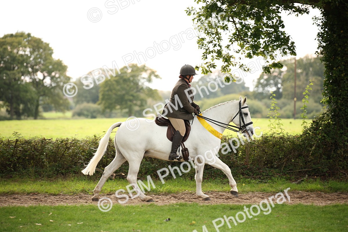 SBM_73639 - Ridden Horse Supreme Championship