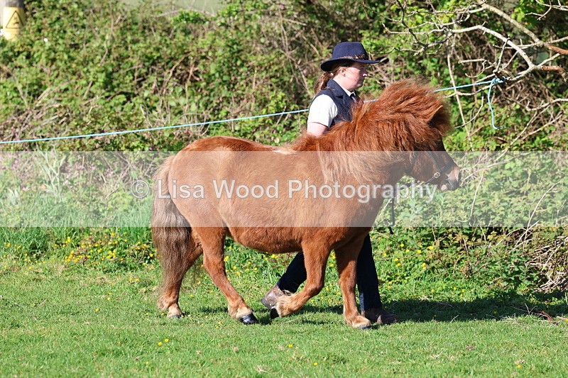 3E7A8322 - Class 12: M & M Small Breeds