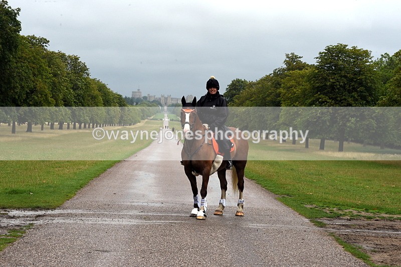 TT3_8225 - Time at Crossing 10:16 to 11:38