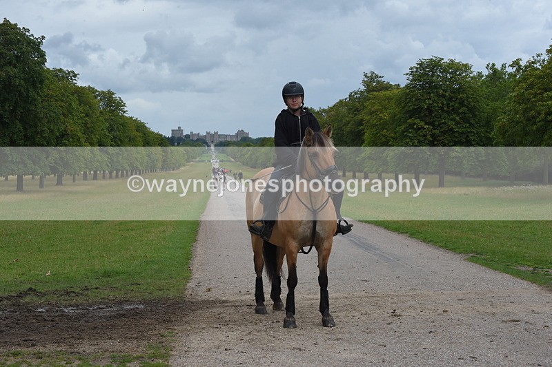 TT3_9875 - Time at Crossing 11:28 to 13:16