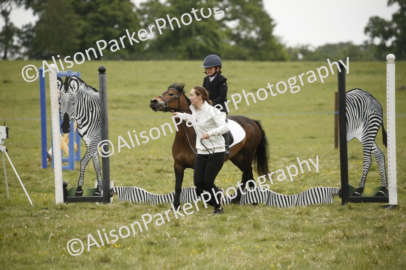 20250517-0101 - Class 1 - 30cm On Lead Rein