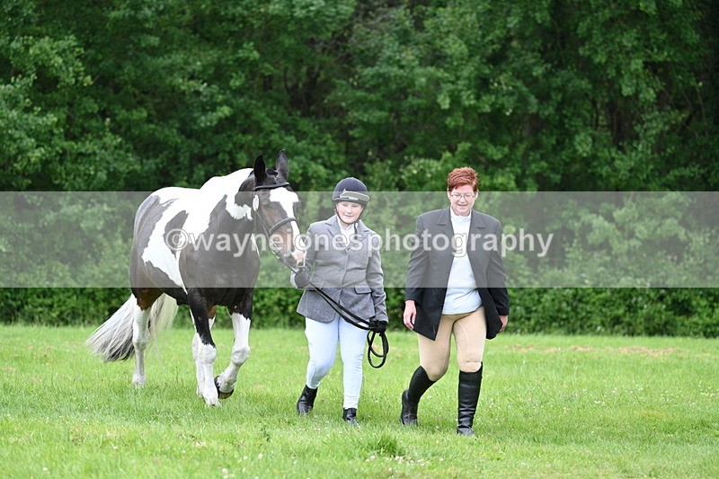 WJ7_4298 - Class 14A Handsome Gelding