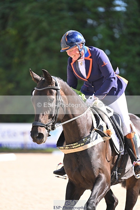 240809-162558-02383 - Preliminary Gold