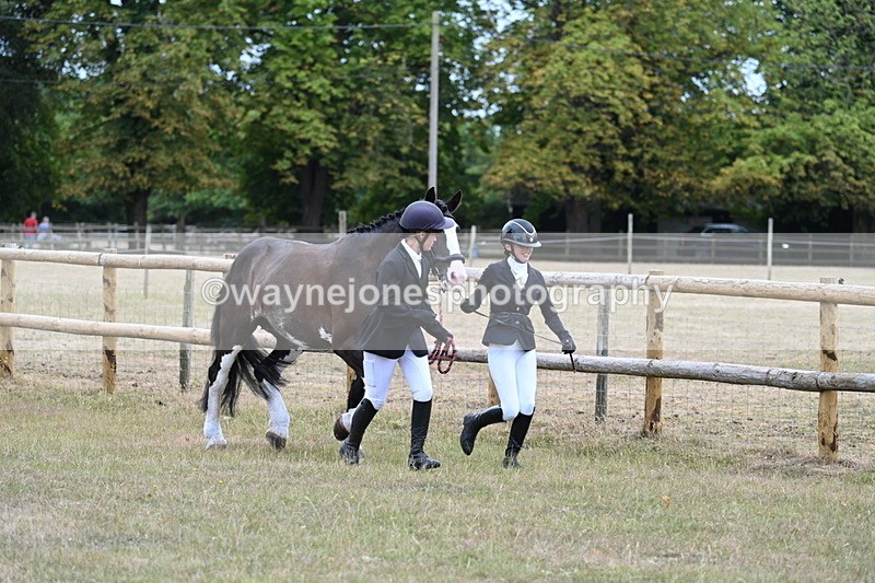 WJ7_8913 - Class 4a Prettiest Mare 14.2hh and over