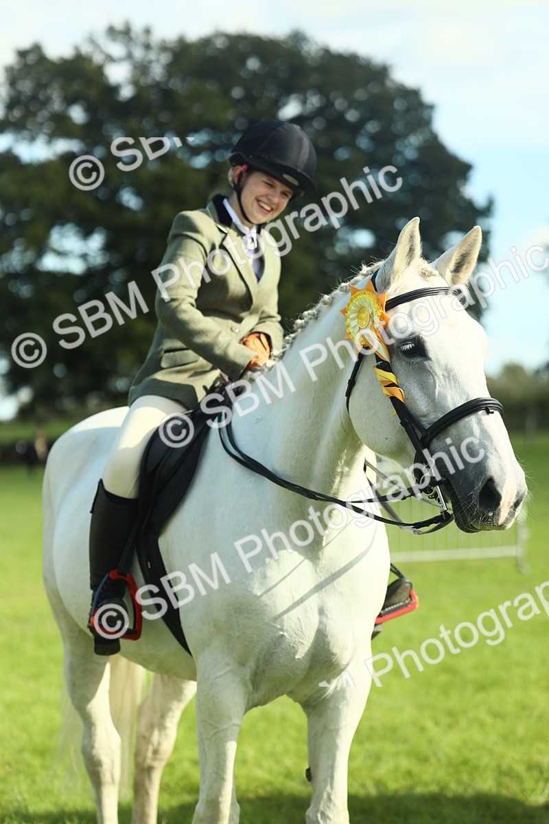 SBM_49934 - S32 - Novice & Newcomers Working Hunter