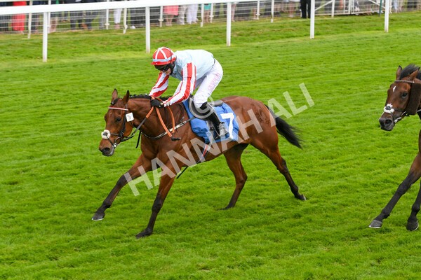 yr11062022r2-69 - Race 2 2.00pm Queen Mother's Cup