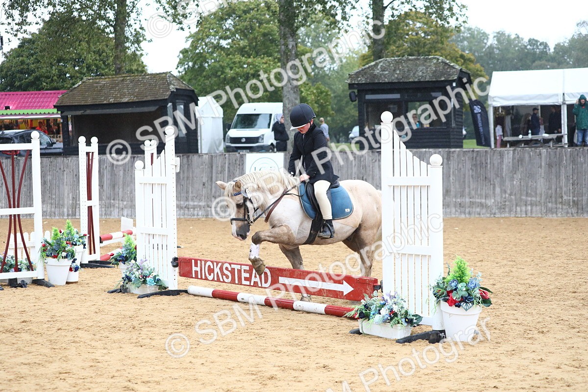 SBM_71578 - J4 - Mini Tour Junior Pony 45cm Championship
