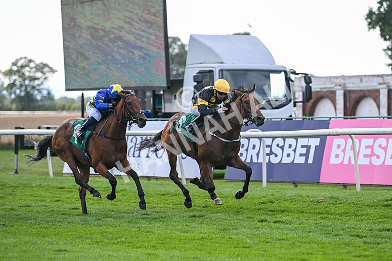 020825-Race 6-Big Leader-3479 - Race 6