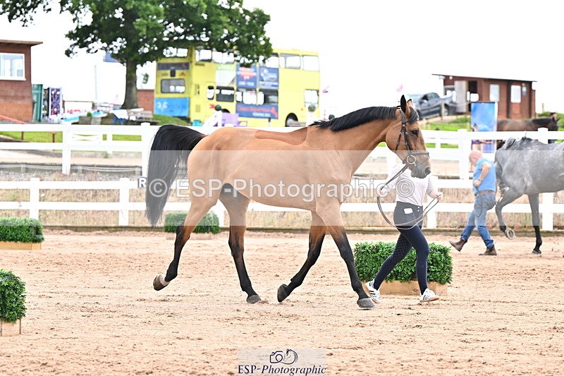 240718A-105327-02023 - Trot Up 2pm to 3pm - This folder is not in time order