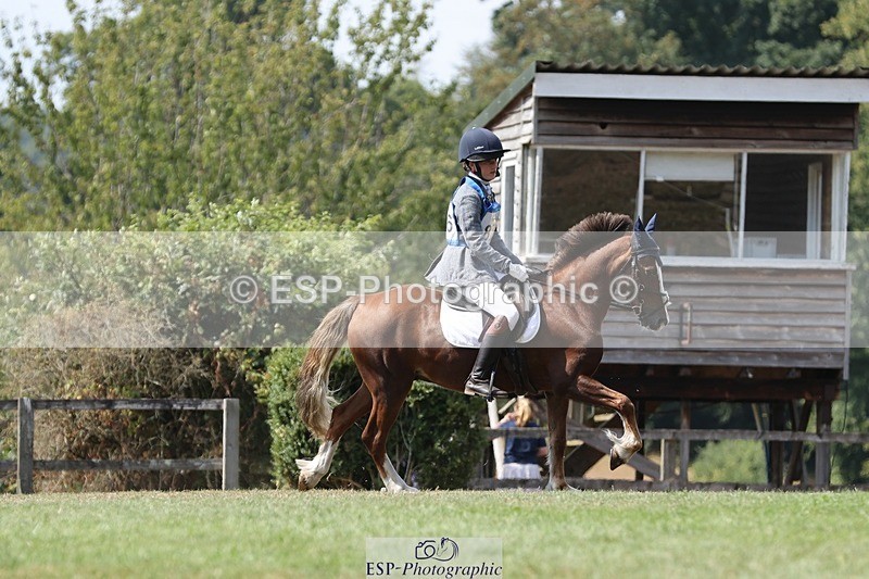 250823A-134336-31359 - Arena D