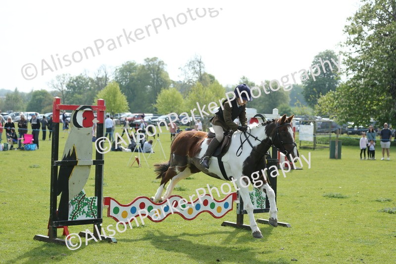 20260426-1599 - Class 14 - Novice 60cm