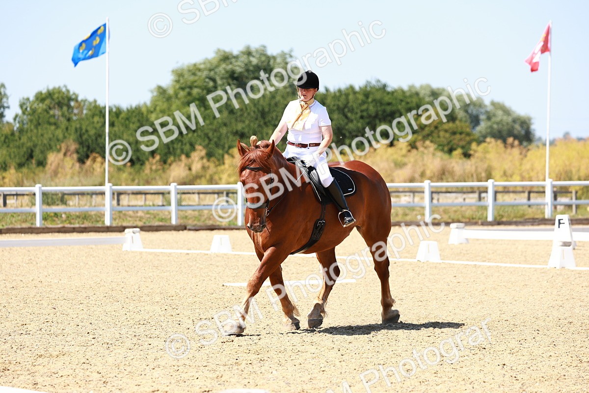 SBM_011810 - Intro 3 - 13.00-14.10