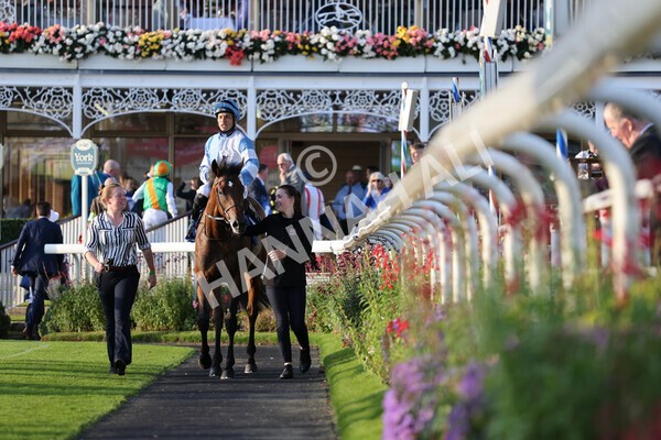 yr08102021r6-22 - Race 6 4.55pm Frank Whittle Partnership British EBF Restricted Novice Stakes