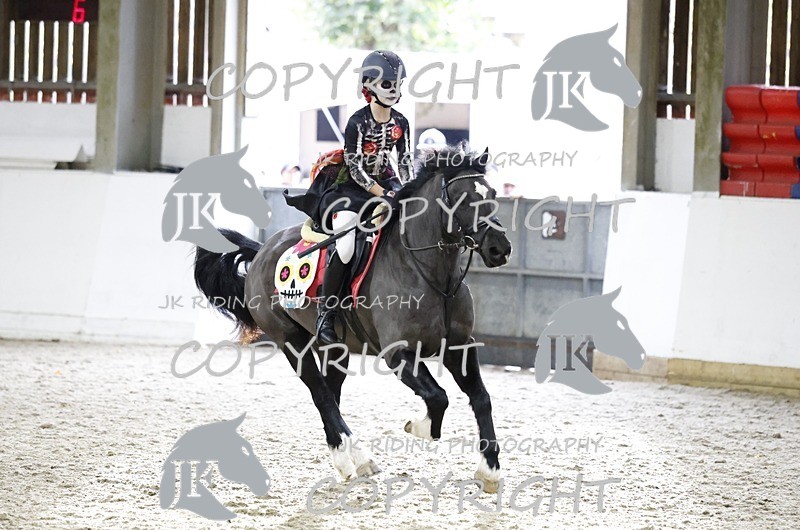 _T0A3113 - Class 7 80cm