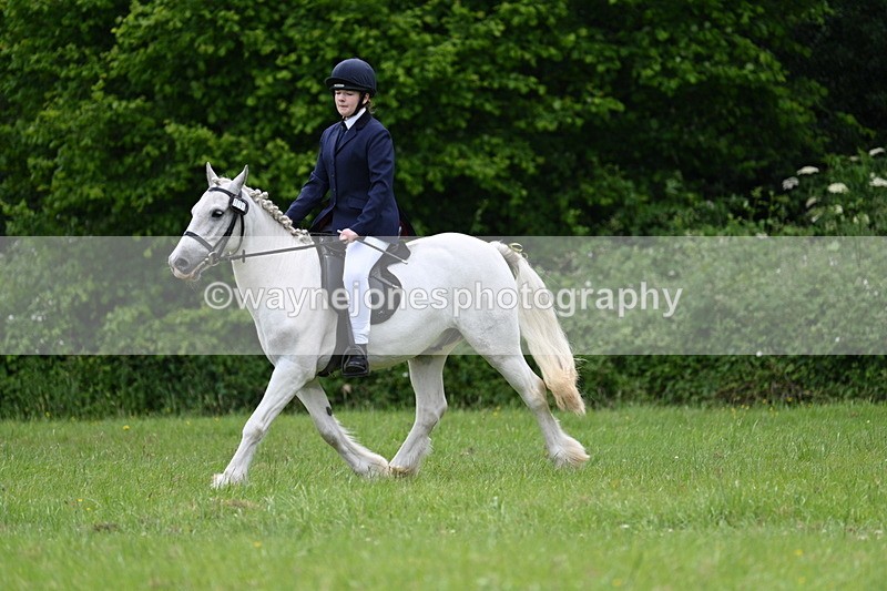 WJ7_2624 - Class 12A Coloured Class