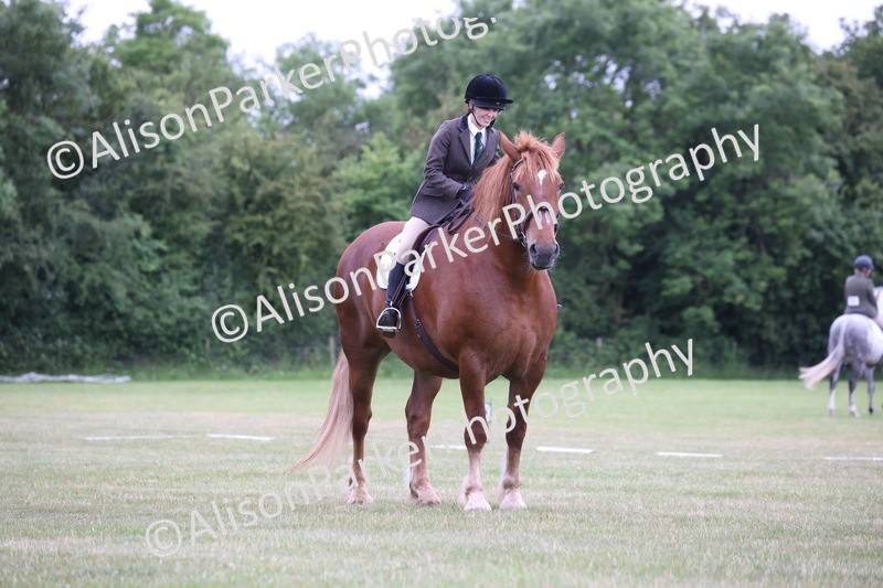 20250605-0687 - Class 1 - Intro 2