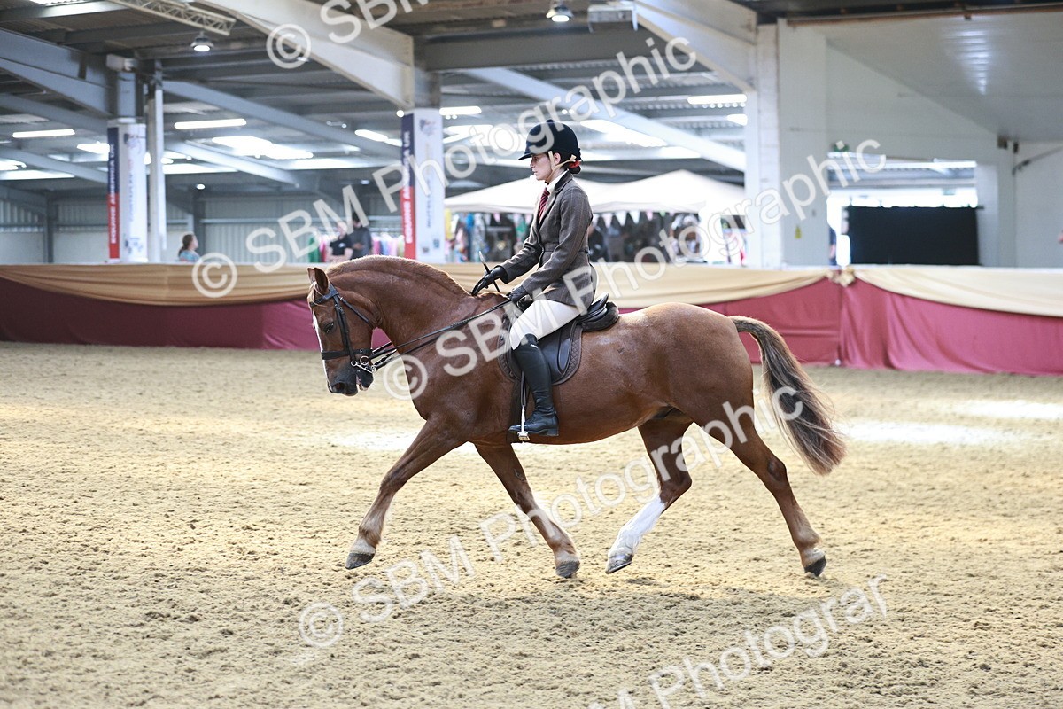 SBM_07135 - Class 10R - Regional Ridden Diamond