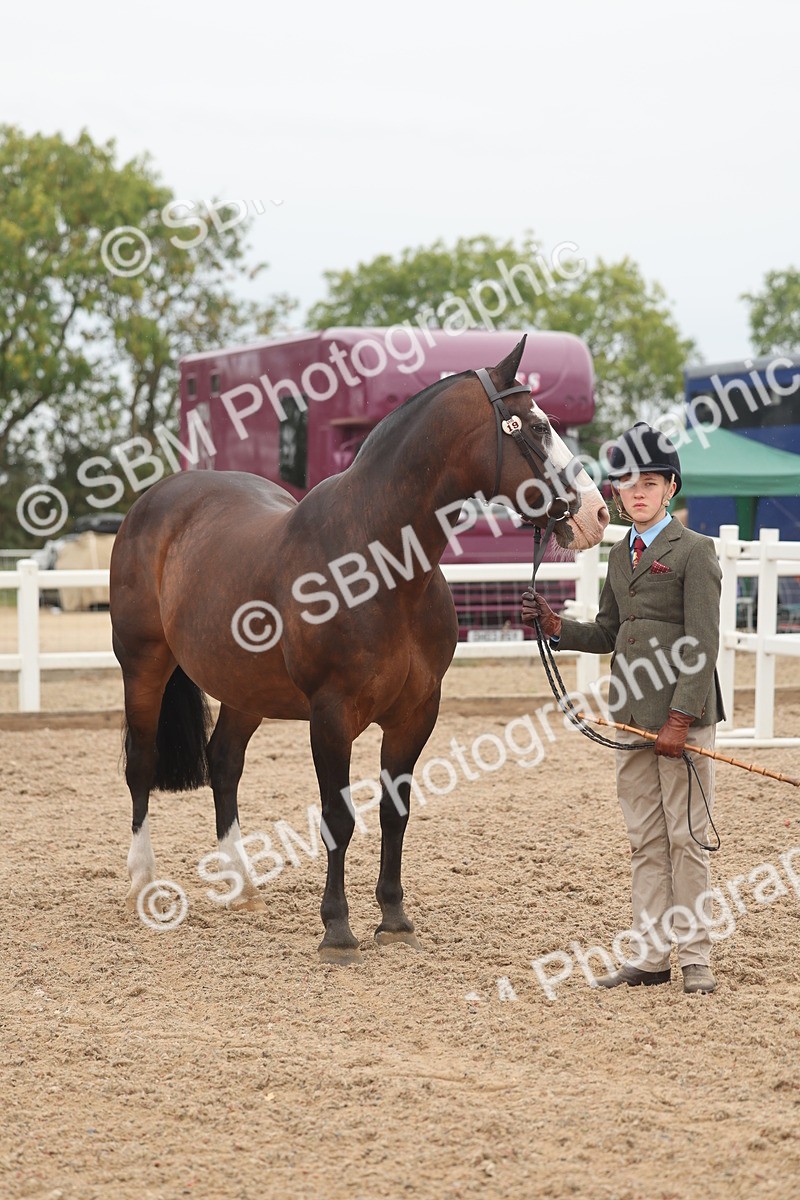 SBM_00575 - Class 13 Young Handler